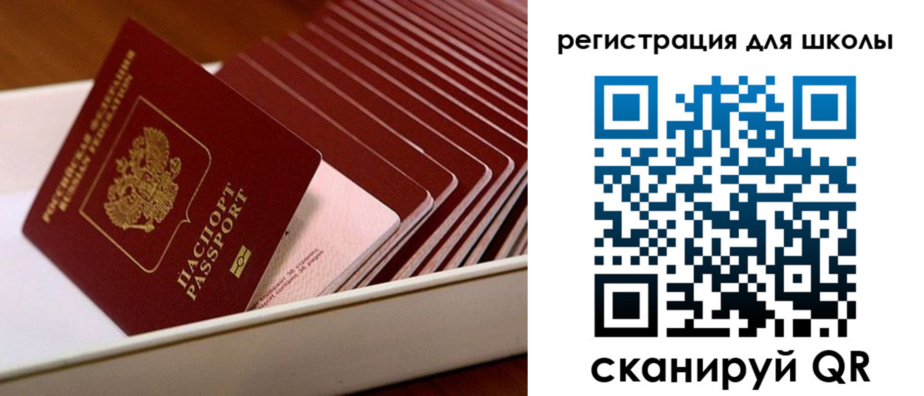 прописка гарантия в Обояни